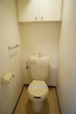 Toilet. With storage shelves