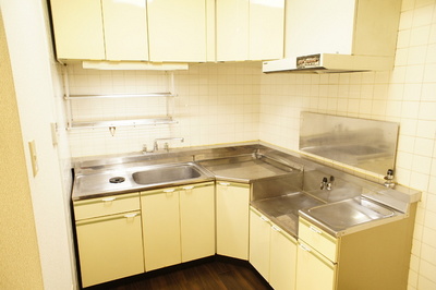 Kitchen. L-shaped kitchen