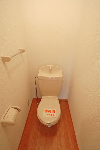 Toilet. Toilet clean impression