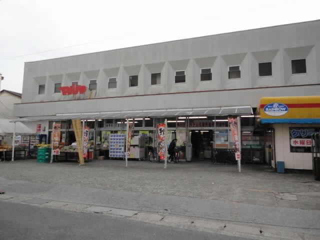 Supermarket. Maruya to 10m