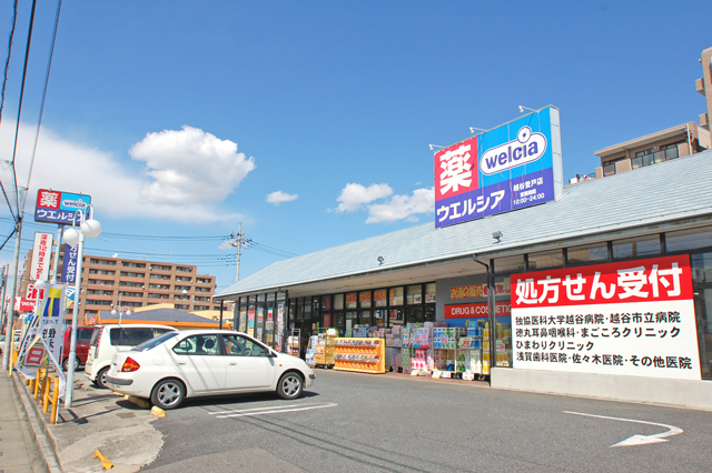 Dorakkusutoa. Uerushia Koshigaya Noborito shop 423m until (drugstore)