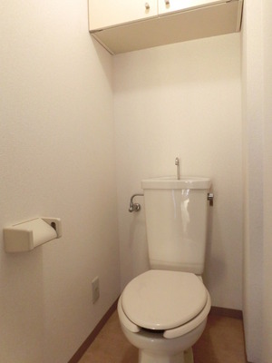 Toilet. There is storage space in the overhead.