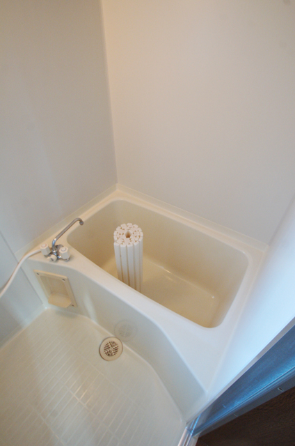 Bath. Guests can enjoy a relaxing time every day with a clean bathroom