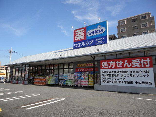 Drug store. Uerushia Koshigaya until Noborito shop 1198m