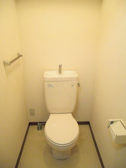 Toilet. It is a simple toilet.