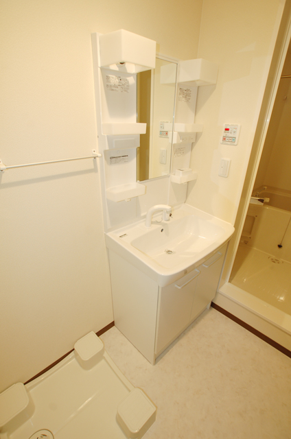 Washroom. Your laundry can also wash undressing room of room Comfortable shampoo dresser