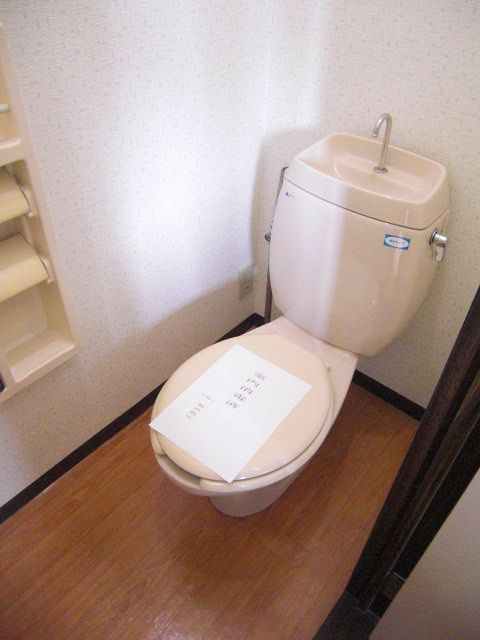 Toilet. It is cleaned with a clean toilet.