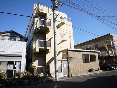 Building appearance. Kitakoshigaya MK House