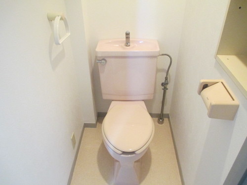 Toilet. Toilet