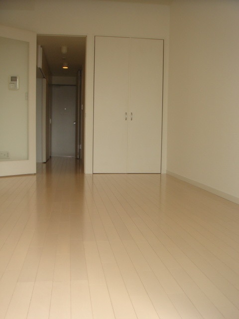 Living and room. Flooring of whitish