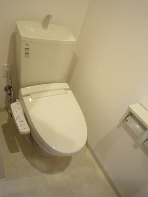 Toilet. Toilet with shower