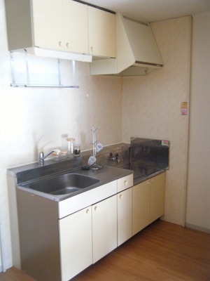 Kitchen. Gas stove installation-friendly kitchen for city gas