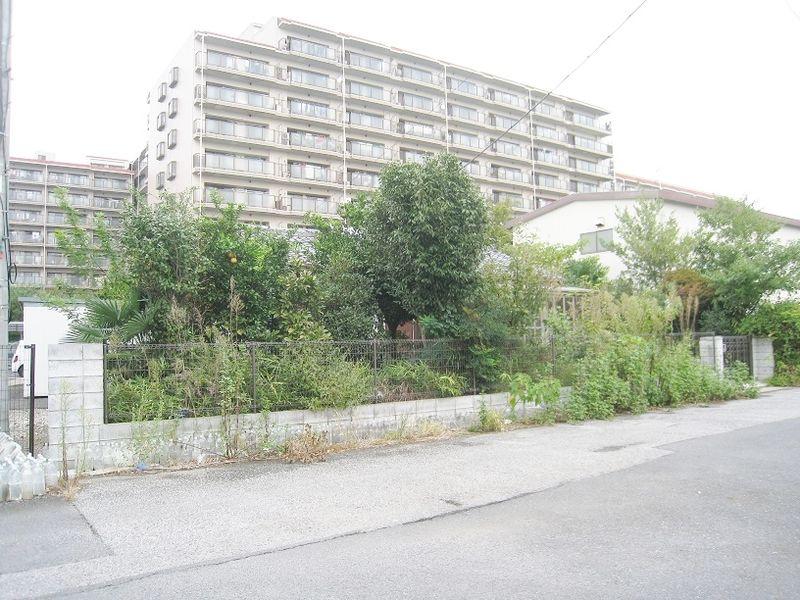 Local land photo