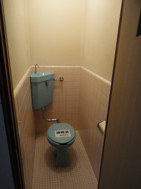 Toilet. Western-style toilet