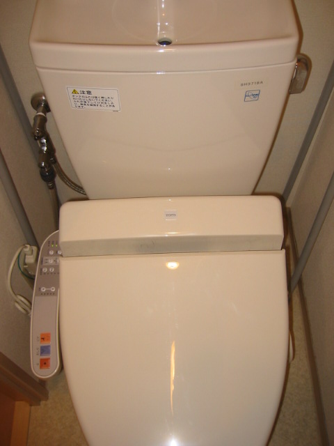 Toilet. Happy to woman. Washlet installation