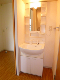 Washroom. Bathroom Vanity