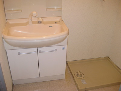 Washroom. Indoor laundry Storage