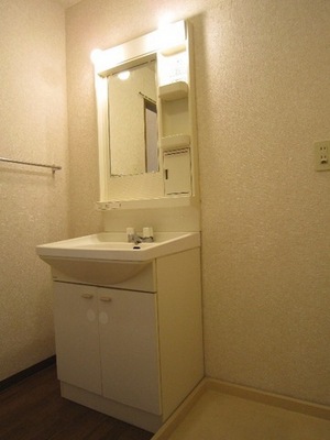 Washroom. Bathroom Vanity