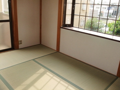 Living and room. A two-sided lighting is bright Japanese-style room