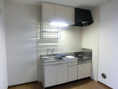 Kitchen. It is a gas stove installation-friendly kitchen storage cabinet plenty