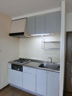 Kitchen. System is a kitchen with storage cabinet with plenty of grill