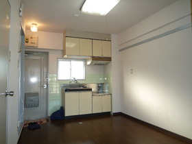 Living and room. Kitchen