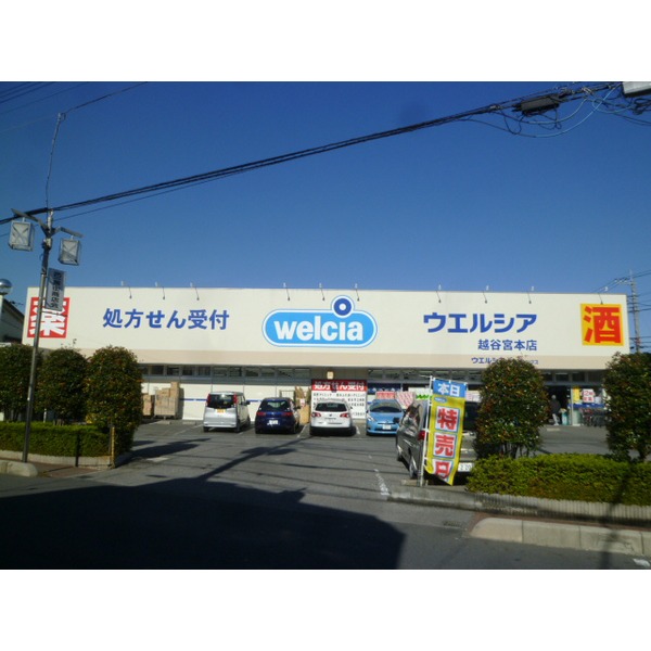 Dorakkusutoa. Uerushia Koshigaya Miyamoto shop 91m until the (drugstore)