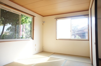 Living and room. Bright living room with two-sided lighting