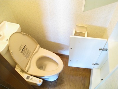 Toilet. Small pat storage