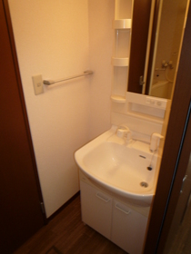 Washroom. Bathroom Vanity