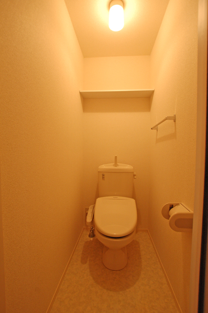Toilet. Comfortable Washlet Warm toilet seat even in winter