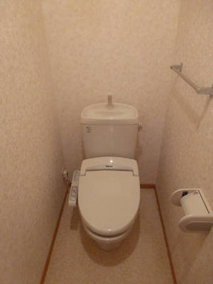 Toilet. Bathroom with a shower