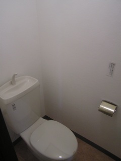 Toilet. Exchange did toilet new (white)