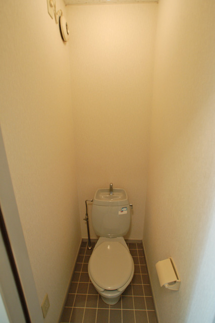 Toilet. Toilet clean impression