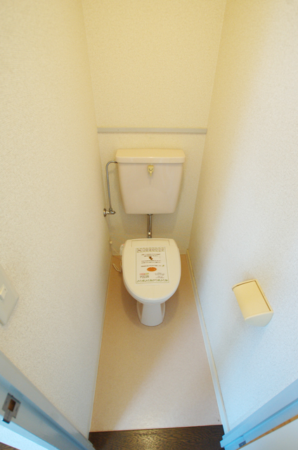 Toilet. Toilet clean impression