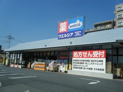 Dorakkusutoa. Werushia Koshigaya Noborito shop 340m until (drugstore)