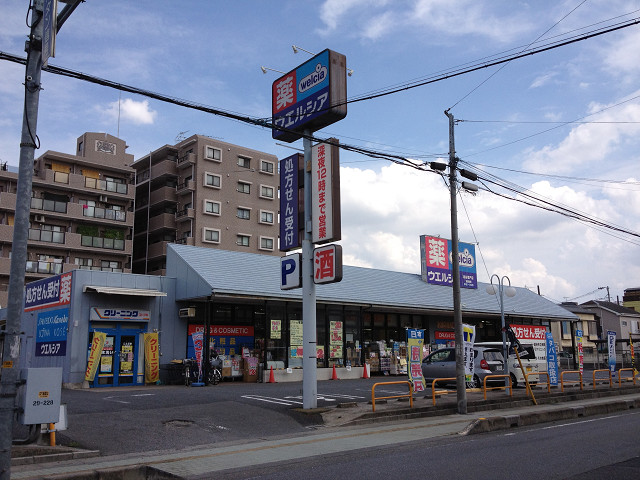 Other. Neighborhood drugstores