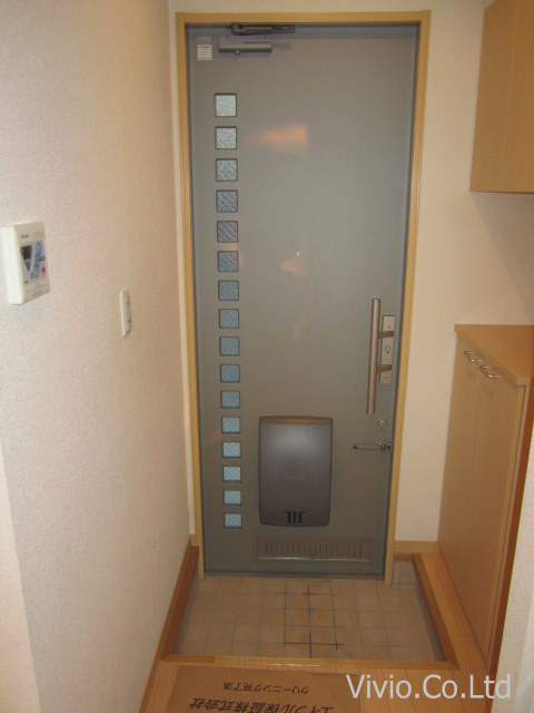 Entrance. Also entrance door is fashionable of course also equipped with shoe box