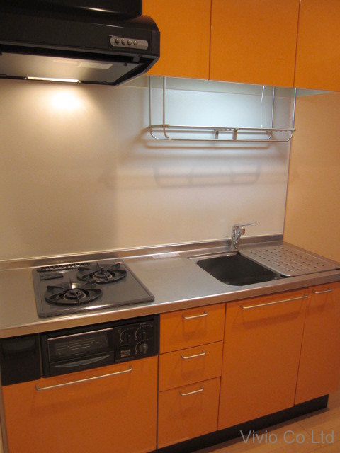 Kitchen. Economical respectable system Kitchen And city gas