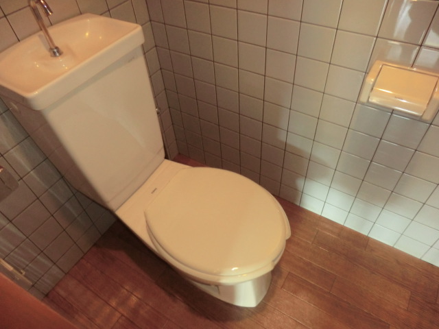 Toilet