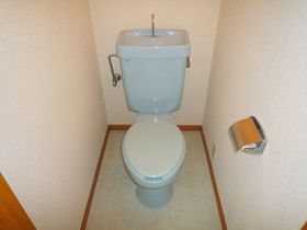 Toilet. Western-style toilet