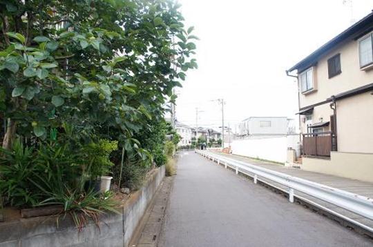 Local photos, including front road. Frontal road