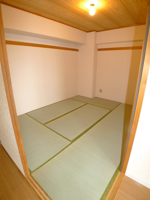 Other room space. Japanese style room