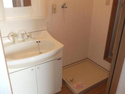 Washroom. Shampoo Dresser & Indoor Laundry Area