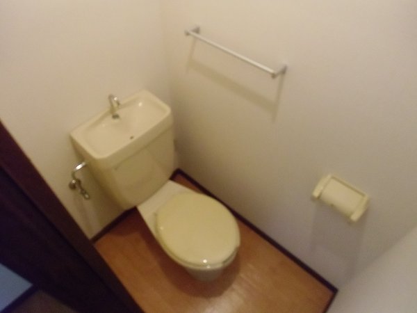 Toilet. Western-style toilet