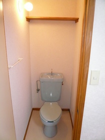 Toilet. Toilet