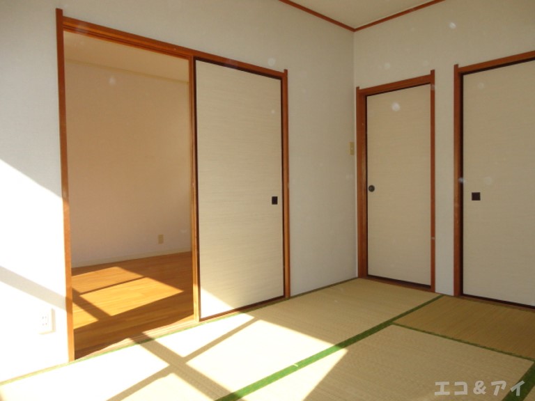 Other room space. Japanese style room