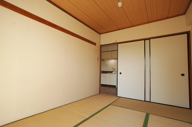 Other room space. Perfect for Japanese-style room in a children's playground