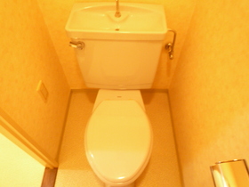 Toilet. Toilet