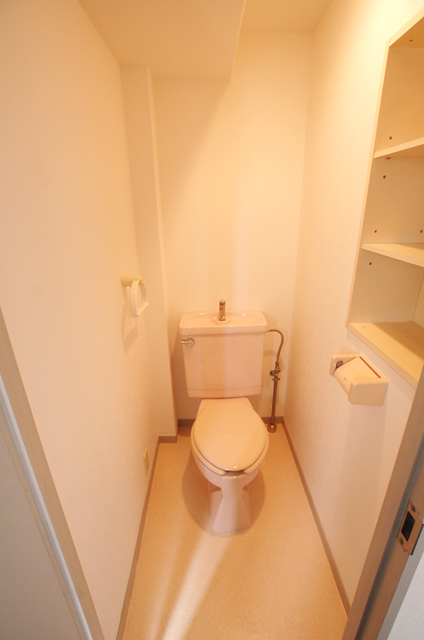 Toilet. Toilet clean impression Stylish with shelf